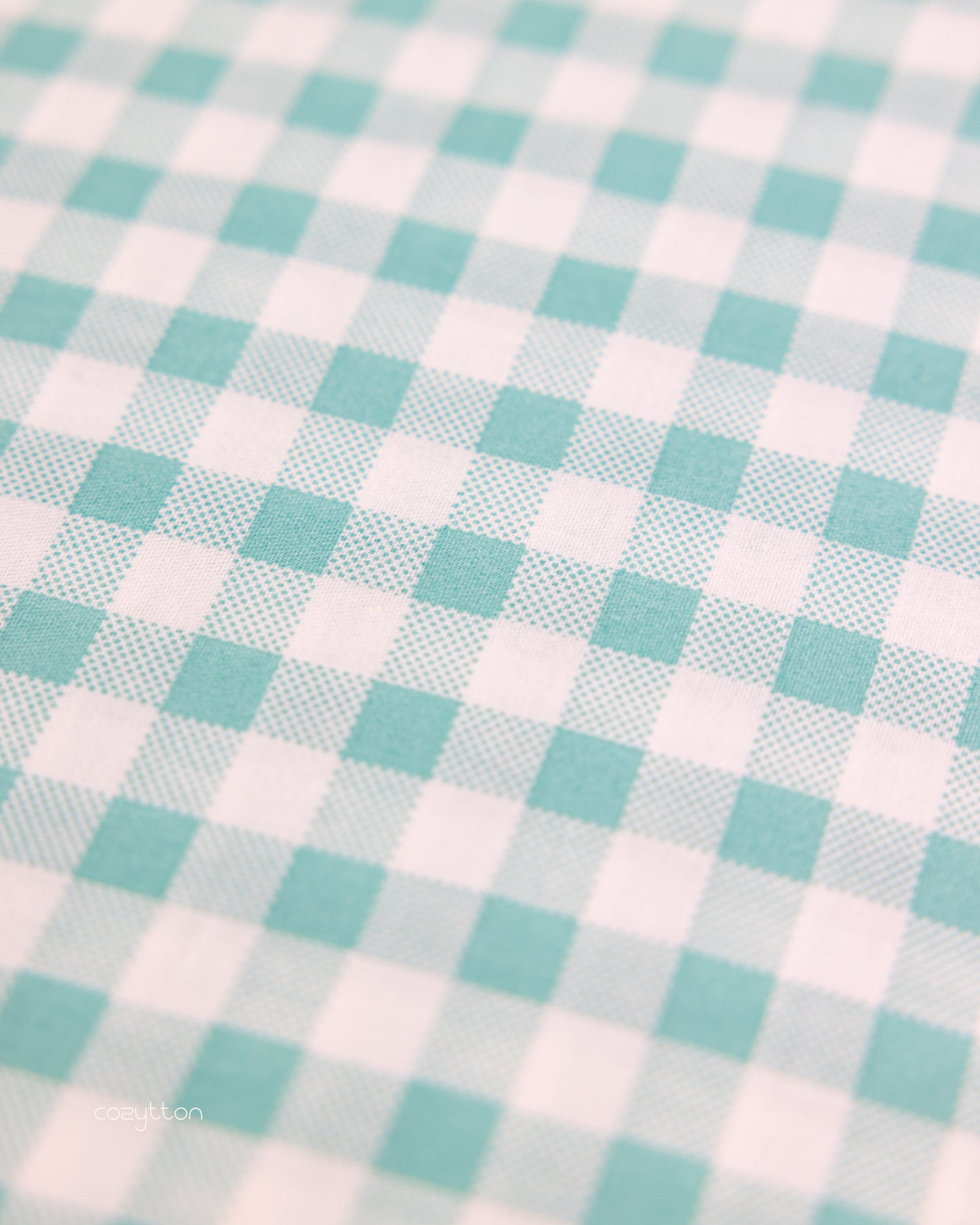 Mint Gingham